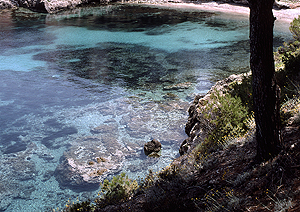 LEICA R8, ELMARIT-R 2,8/19